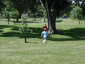 Enlarge photo 234