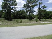 Enlarge photo 82