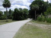 Enlarge photo 84