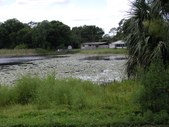 Enlarge photo 88