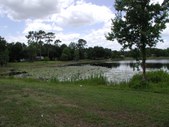 Enlarge photo 90