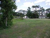 Enlarge photo 92