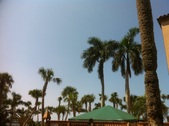 Enlarge photo 39