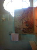 Enlarge photo 50