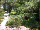 Enlarge photo 93