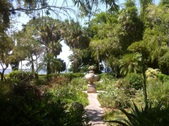 Enlarge photo 97