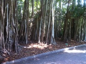 Enlarge photo 99