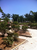 Enlarge photo 102