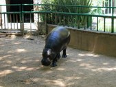 Enlarge photo 26