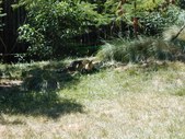 Enlarge photo 29