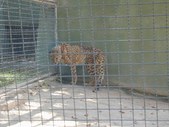 Enlarge photo 36