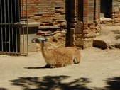 Enlarge photo 38