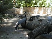Enlarge photo 43