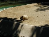 Enlarge photo 44