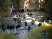 Enlarge photo 48