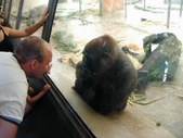 Enlarge photo 53