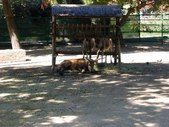 Enlarge photo 81