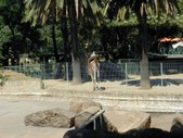Enlarge photo 88