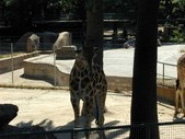 Enlarge photo 89