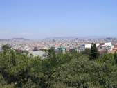 Enlarge photo 202