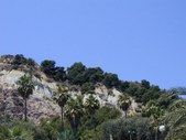 Enlarge photo 212