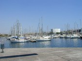 Enlarge photo 221
