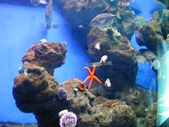 Enlarge photo 235