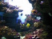 Enlarge photo 229
