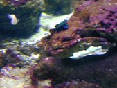 Enlarge photo 232