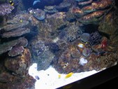 Enlarge photo 236