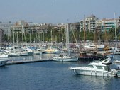 Enlarge photo 257