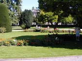 Enlarge photo 127