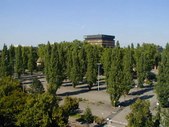 Enlarge photo 139