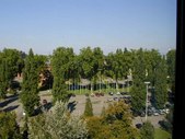 Enlarge photo 141