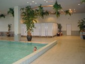 Enlarge photo 42