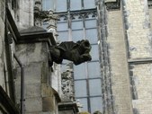 Enlarge photo 63
