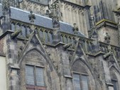 Enlarge photo 59