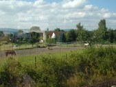 Enlarge photo 33