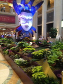 Enlarge photo 28