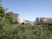 Enlarge photo 45