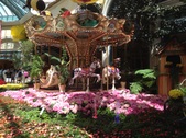 Enlarge photo 48