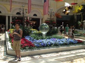 Enlarge photo 56