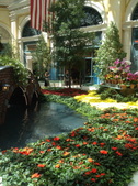 Enlarge photo 59