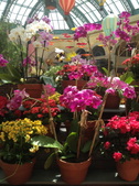 Enlarge photo 61