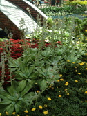 Enlarge photo 63