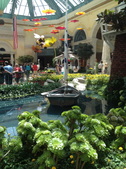 Enlarge photo 64