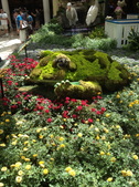 Enlarge photo 70