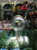 Enlarge photo 73