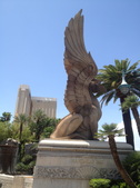 Enlarge photo 81