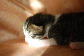 Enlarge photo 19